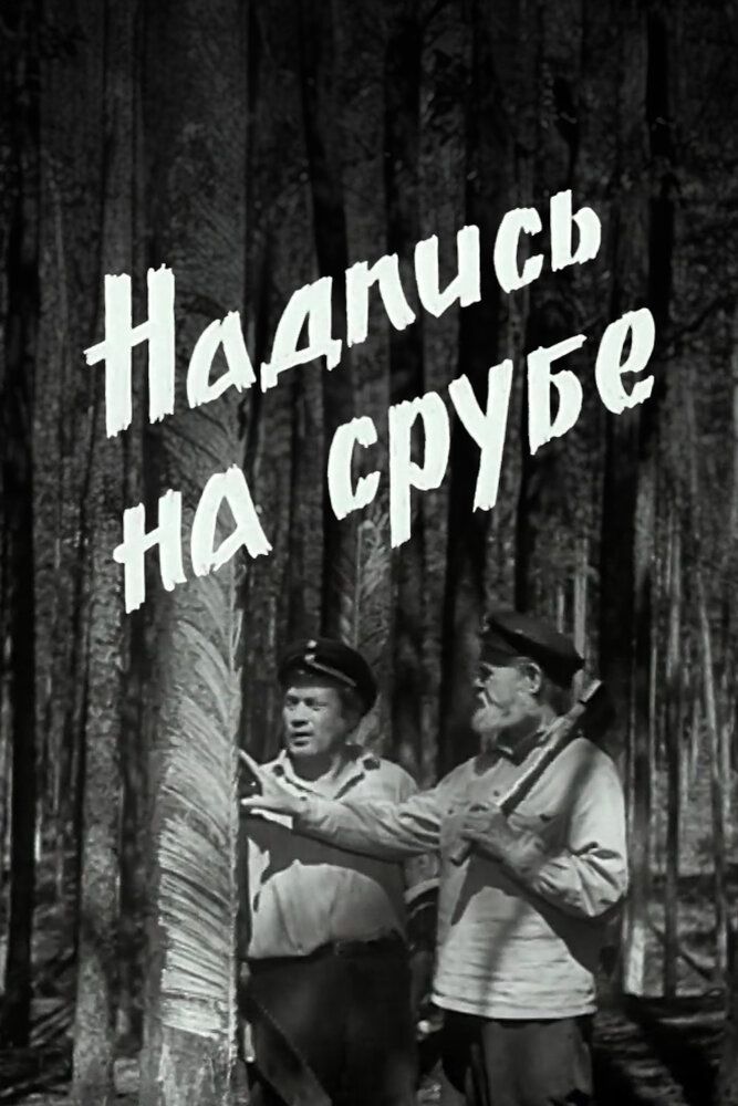 Надпись на срубе