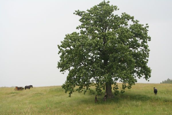 Кадр 1 из фильма Горячее сердце