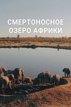 Смертоносное озеро Африки