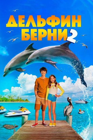 Дельфин Берни 2