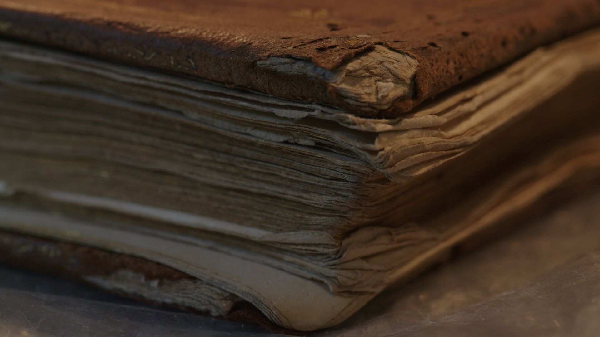 Кадр 8 из фильма Книготорговцы