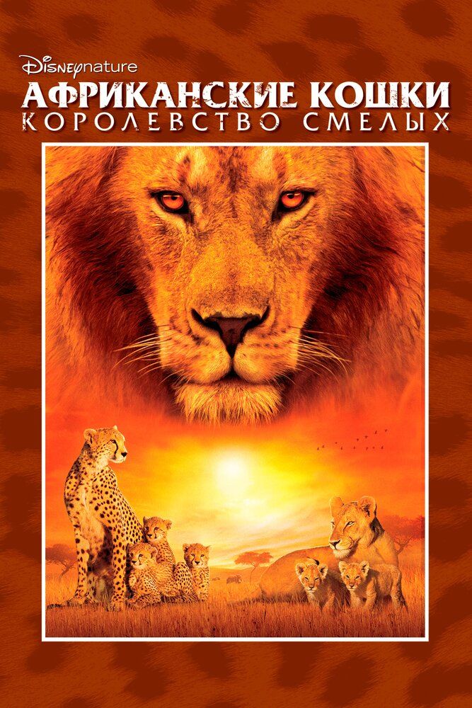 Африканские кошки: Королевство смелых
