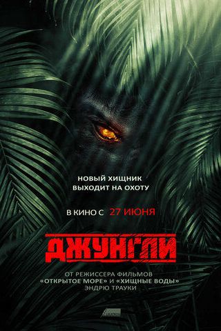 Джунгли
