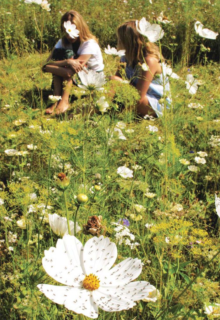 Кадр 5 из фильма Голыми ногами по слизнякам
