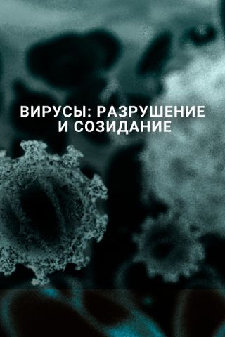 Вирусы: Разрушение и созидание