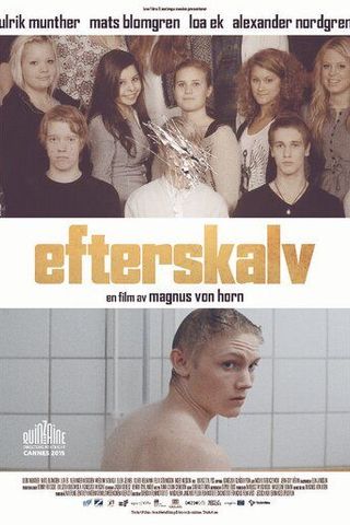 Отголоски