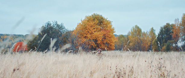 Кадр 2 из фильма Сказки о маме