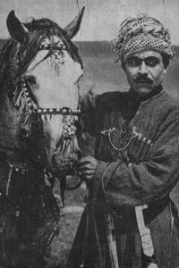 Михаил Гарагаш
