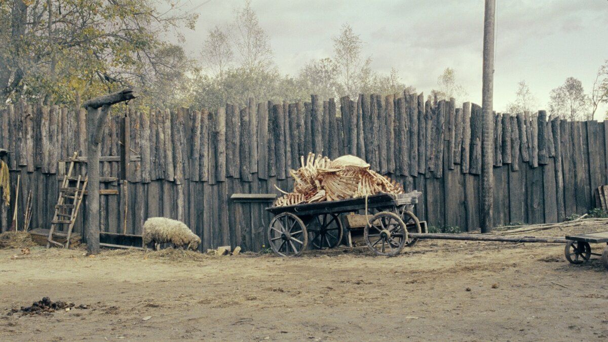 Кадр 2 из фильма В тумане