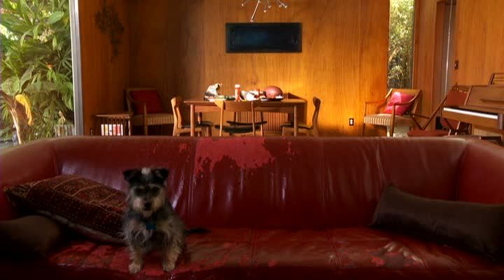 Кадр 3 из фильма Пес-купидон