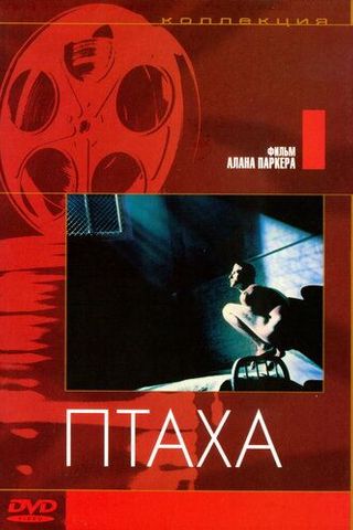Птаха