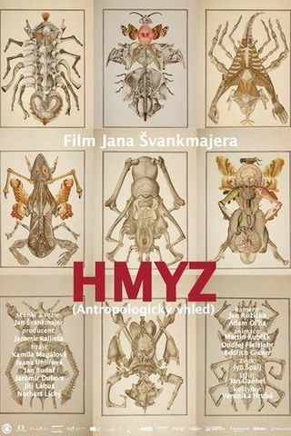 Насекомые
