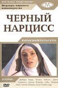 Черный нарцисс