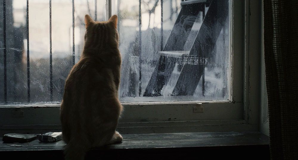 Кадр 2 из фильма Внутри Льюина Дэвиса