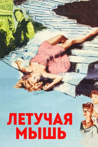 Летучая мышь