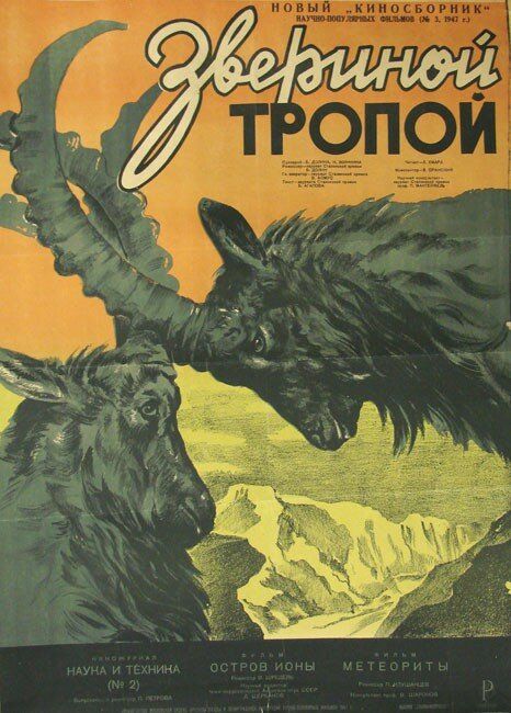 Звериной тропой