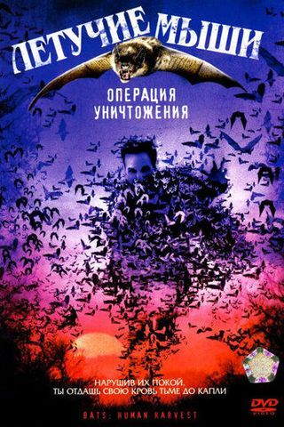 Летучие мыши: Операция уничтожения
