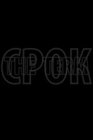 Срок. Начало большой истории