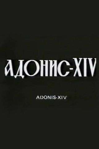 Адонис XIV