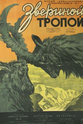 Звериной тропой