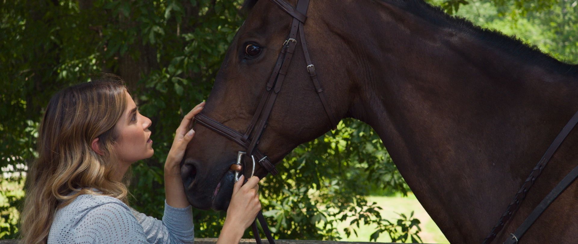 Кадр 9 из фильма A Sunday Horse