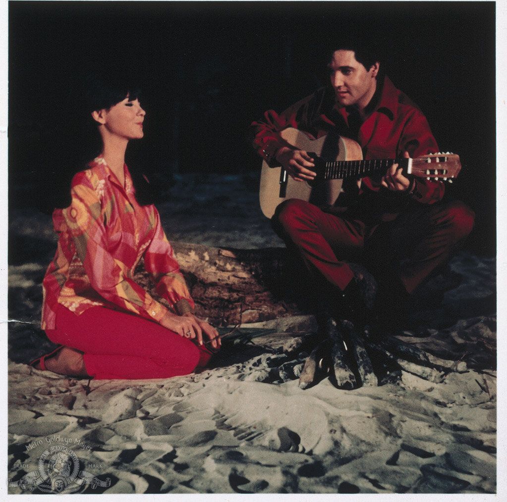 Кадр 6 из фильма Пикник у моря